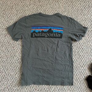 Patagonia tshirt